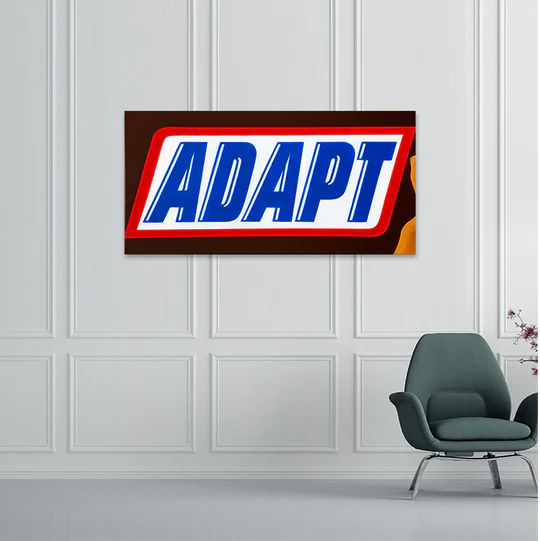 Adapt12x24_540x