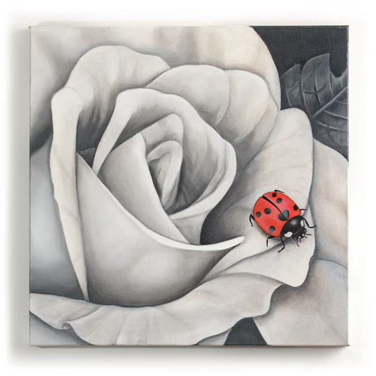 spread_your_wings_540x